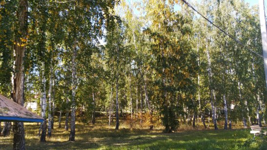 Красноармейский дом-интернат «Березки» фото