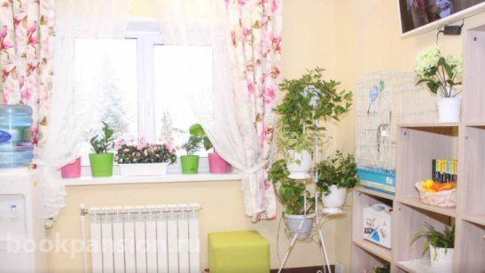 Пансионат «Жемчужина» Львовская фото